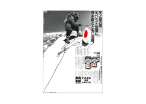 image of NEO Hi-Top on the photo of a Japanese party conquered Mt. Everest
