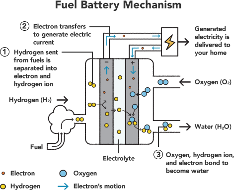The most common manganese battery mechanism