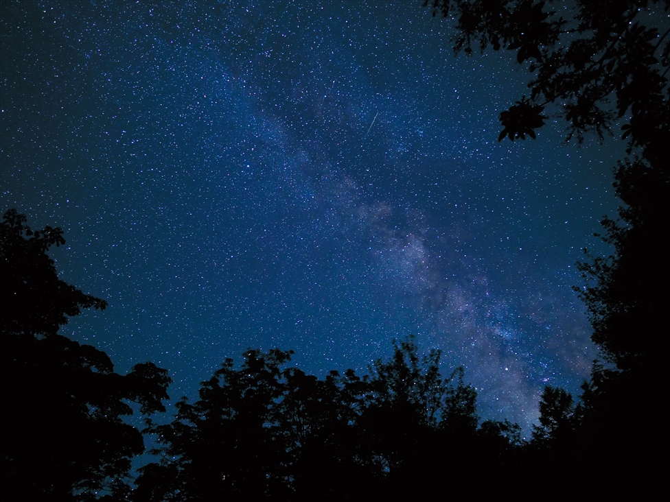 F1,4, 20 sec, ISO 1600  /  Masumi Takahashi