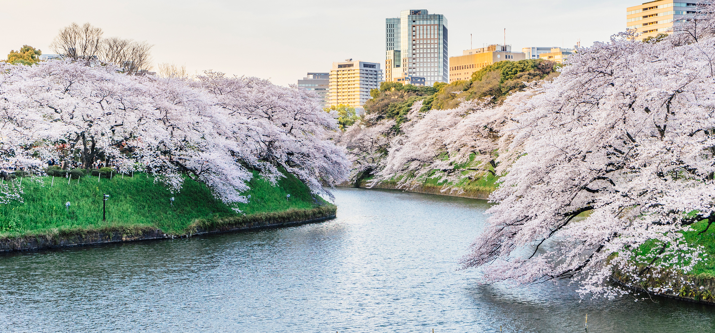 Japanese landscape