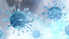 Imagen de los efectos de nanoe™ X contra ciertos virus y bacterias