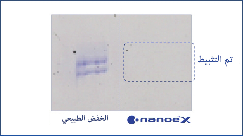 رسم توضيحي يوضح أن nanoe™ X فعال للغاية ضد حبوب لقاح الأشجار مثل الأرز والشجيرات