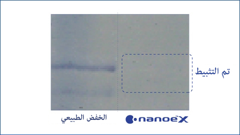 رسم توضيحي يوضح أن nanoe™ X فعال للغاية ضد حبوب اللقاح العشبية مثل عشبة الرجيد