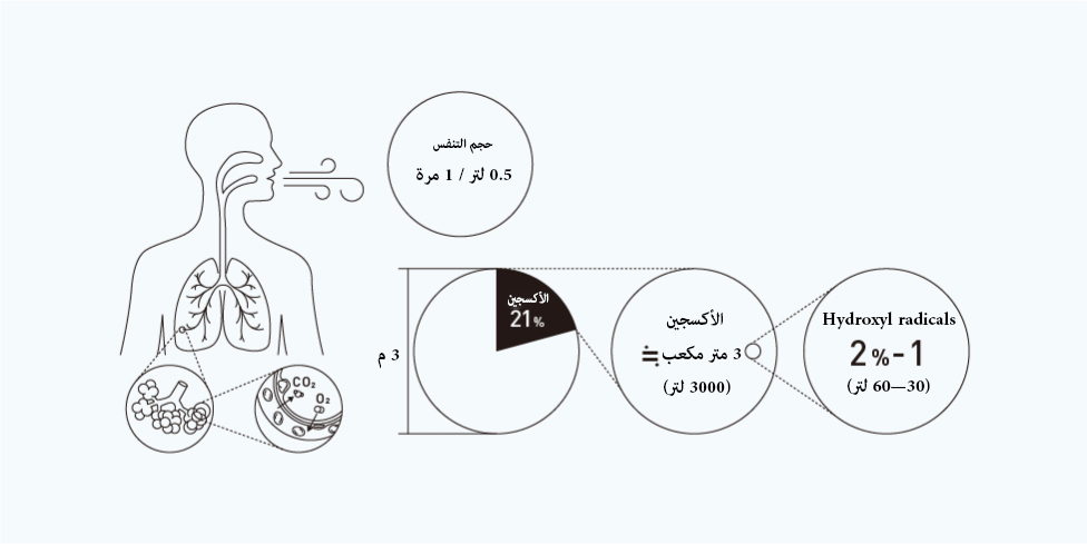 5. عندما يدخل هذا الأكسجين الجسم، يتحول 1-2٪ إلى جذور. جذور الهيدروكسيل هي نوع واحد من الجذور.