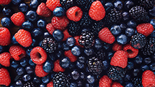 Berry Bursting Recipes to Enjoy All Summer Long