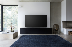 TV-OLED-EZ950