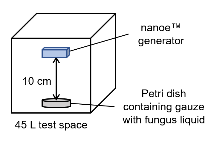 The Mechanism of Fungus Inactivation by nanoe™ Technology Partially Clarified