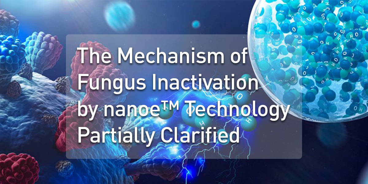 The Mechanism of Fungus Inactivation by nanoe™ Technology Partially Clarified