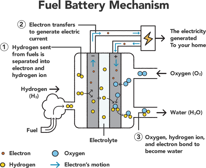 The most common manganese battery mechanism