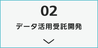 データ活用受託開発