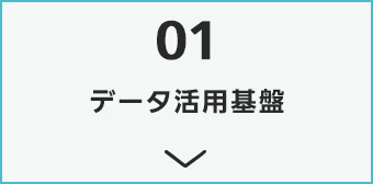 データ活用基盤