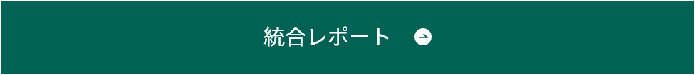 統合レポート