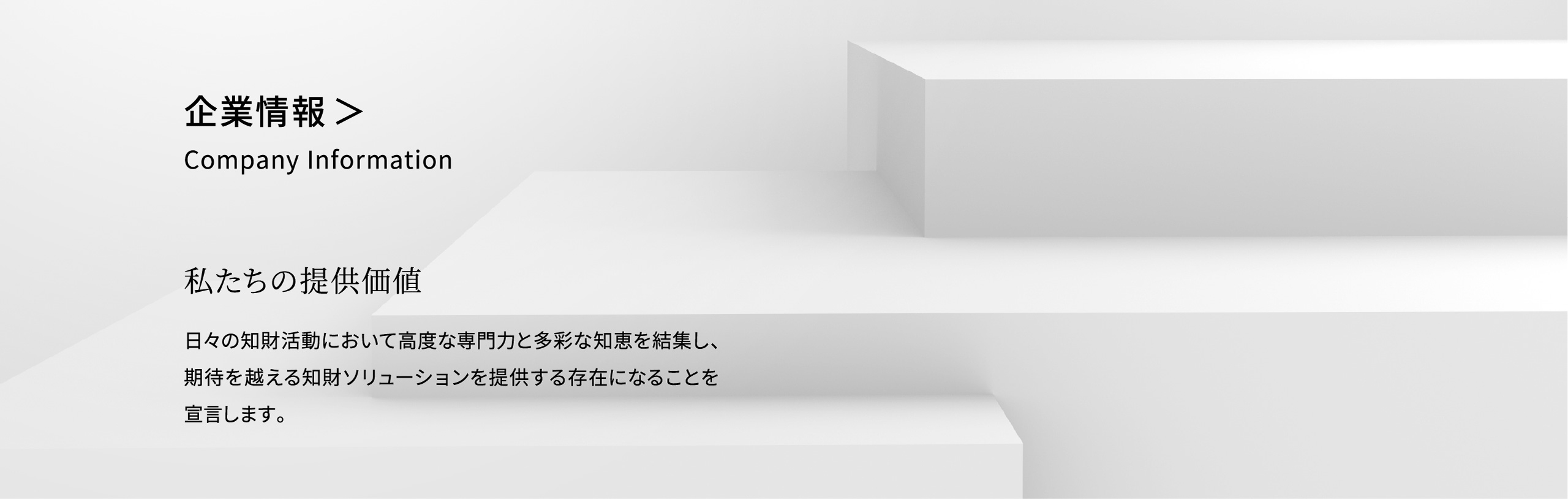 企業情報　Company Information　私たちの提供価値　日々の知財活動において高度な専門力と多彩な知恵を結集し、期待を越える知財ソリューションを提供する存在になることを宣言します。