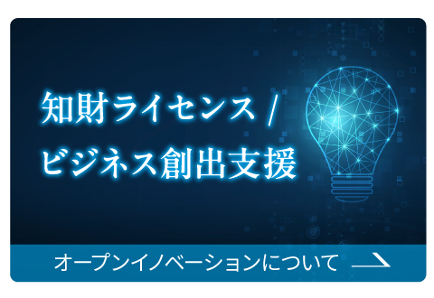 知財ライセンス／ビジネス創出支援