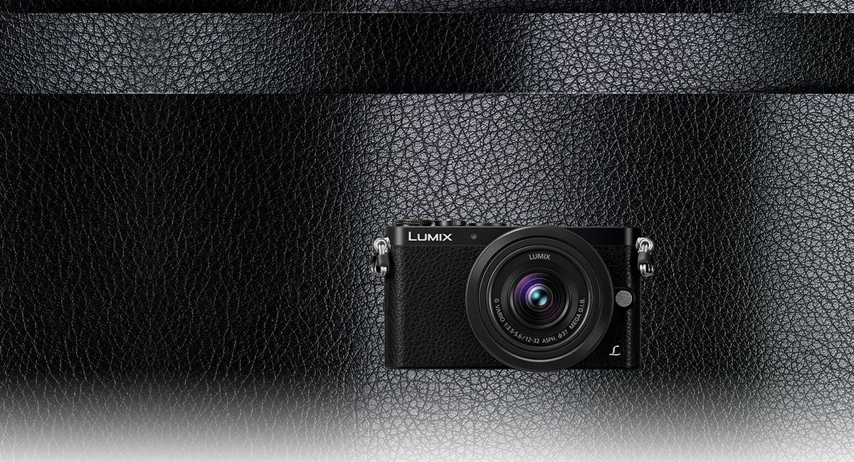 Dmc-gm1 Lumix G Compact System Cameras (dslm) - Panasonic