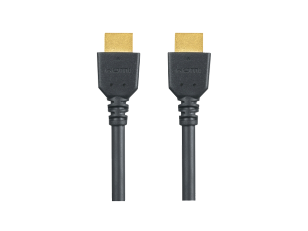 Foto RP-CHES30 HDMI kabel