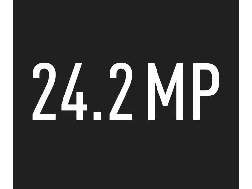24,2 megapixels