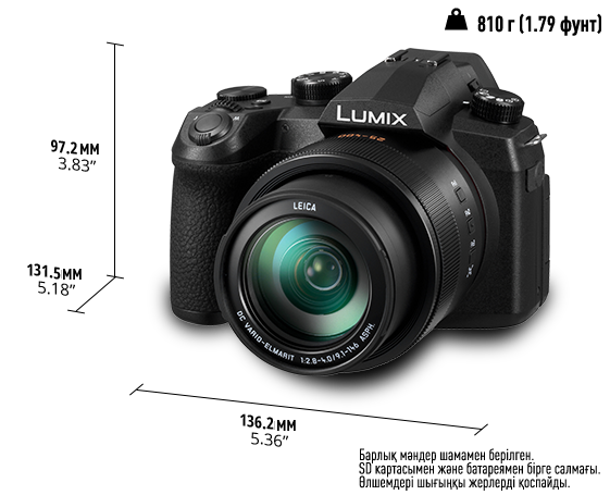 LUMIX DC-FZ1000M2 сандық камерасы