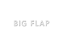 BIG FLAP