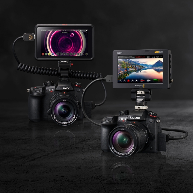 LUMIX G Mirrorless Digital Cameras (DSLM) DC-GH5S - Panasonic New 