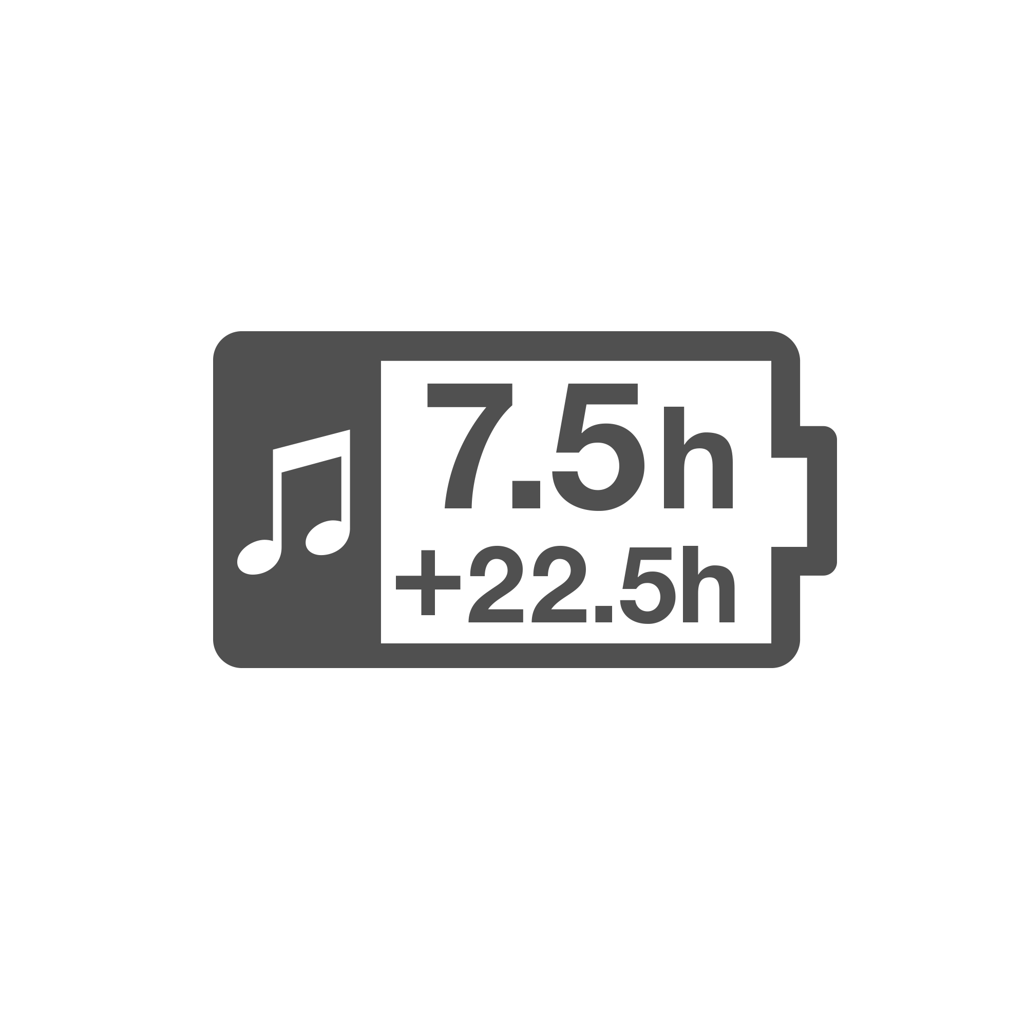 Maximum 30 Hours Playback