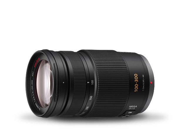 H-FS100300 Değiştirilebilir Lens Resmi