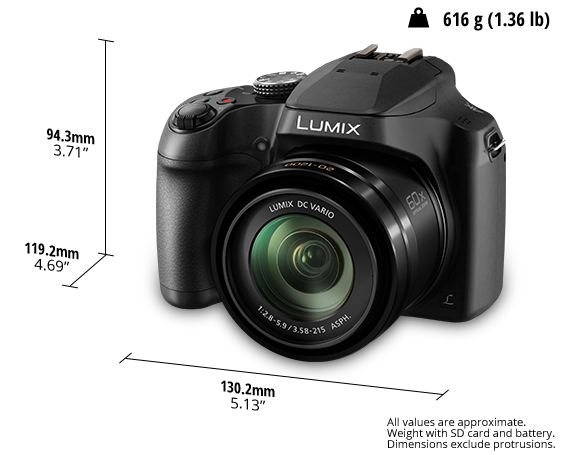 Panasonic Lumix DC-FZ82 - Appareil photo numérique - compact - 18.1 MP - 4K  / 30 pi/s - 60x zoom optique - Wi-Fi - noir